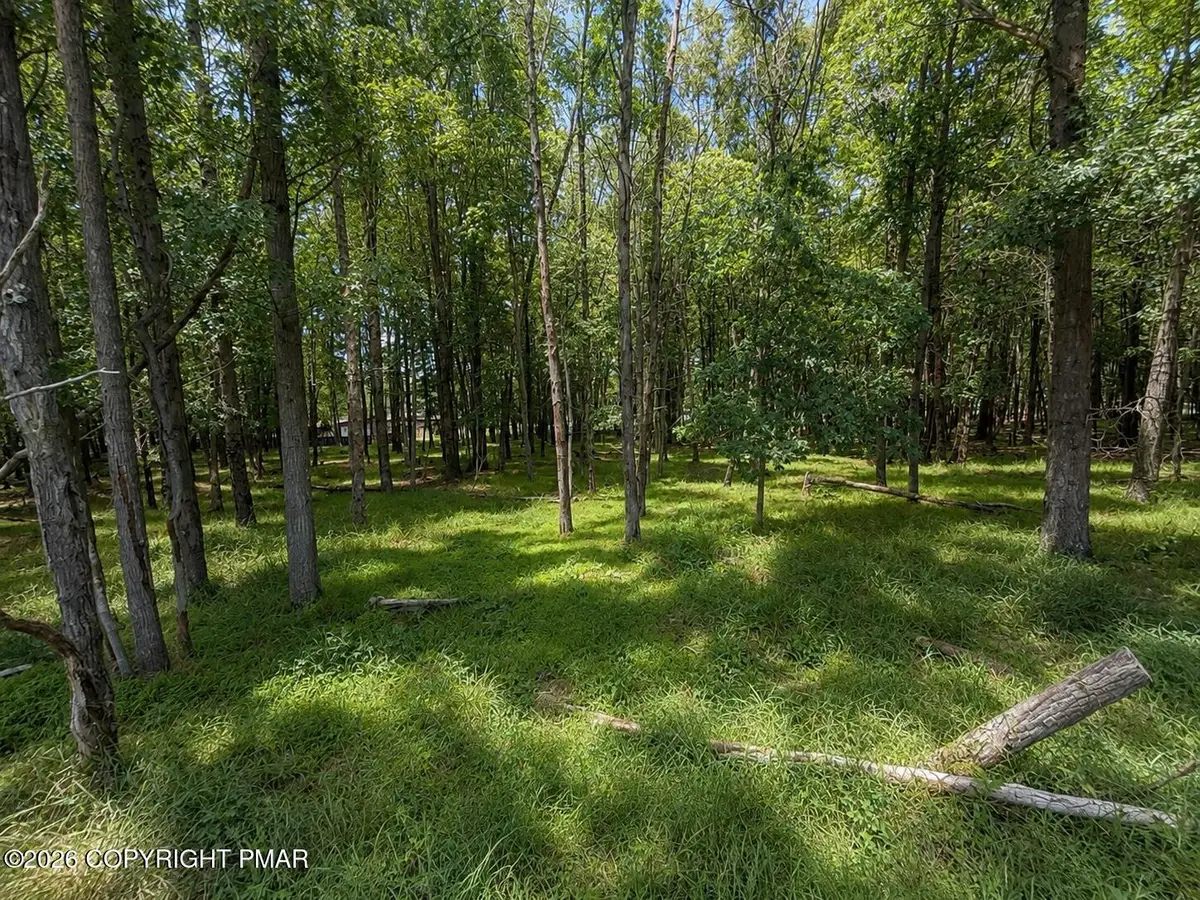 Mountain Rd Lot 521, Albrightsville, PA 18210 - #1