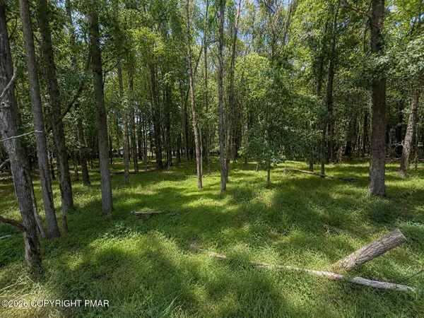 Mountain Rd Lot 521, Albrightsville, PA 18210