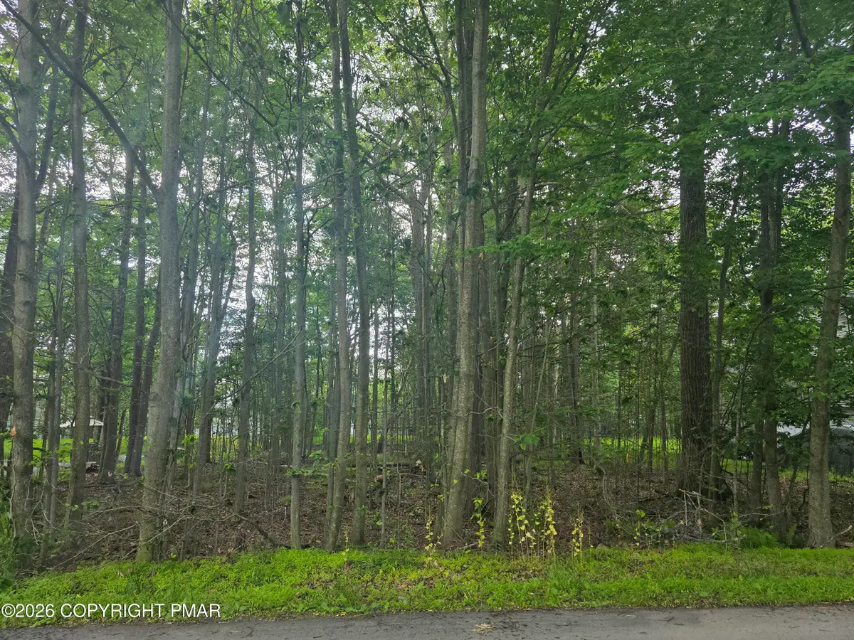 111 Mayfair Road, Tobyhanna, PA 18466 - #1