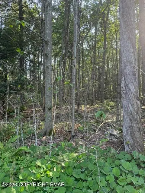 15/16 Sweet Briar Road, Pocono Pines, PA 18350 - #3