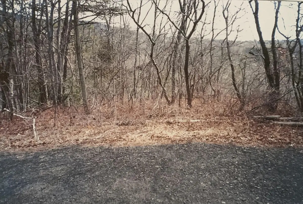 88 Beaver Lane, East Stroudsburg, PA 18301 - #1