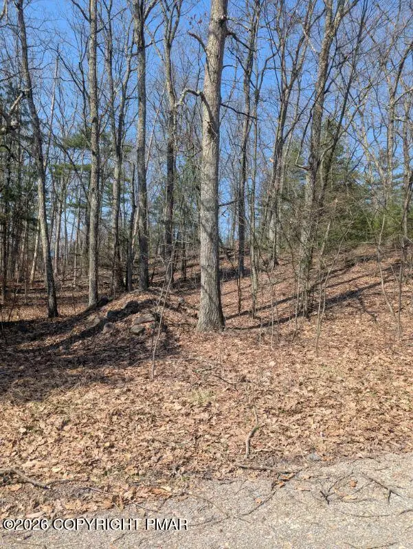 9 Hollow Dr 9 Drive, Stroudsburg, PA 18360 - #1