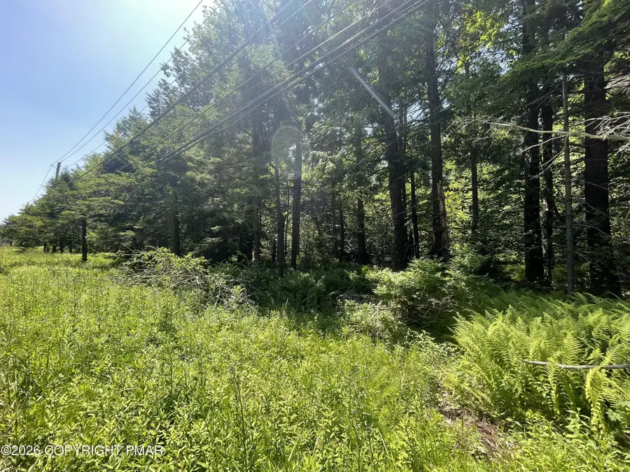 Rt 940 108, Pocono Lake, PA 18347 - #2