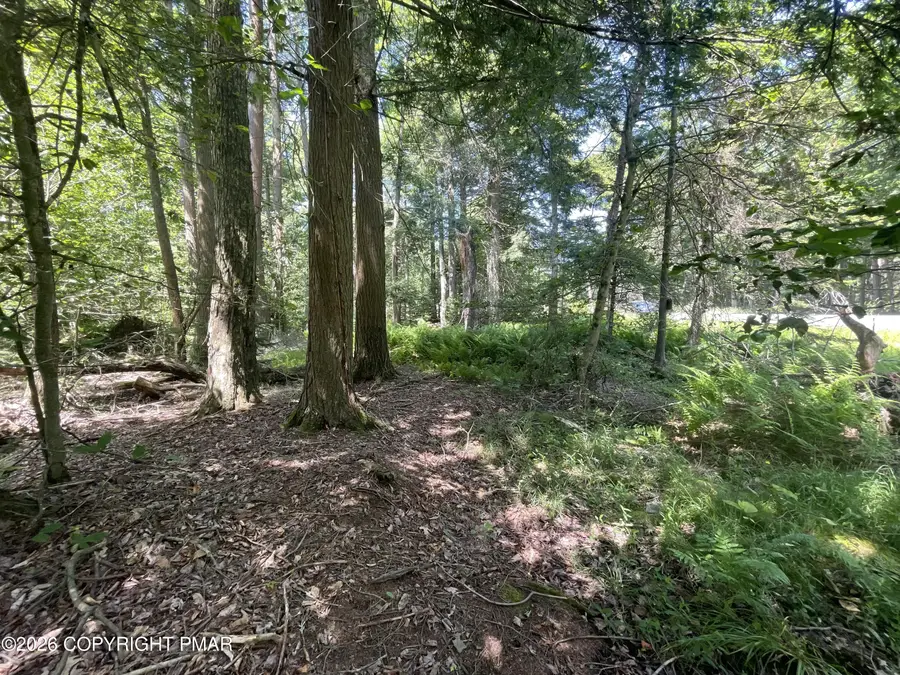 Rt 940 108, Pocono Lake, PA 18347 - #3