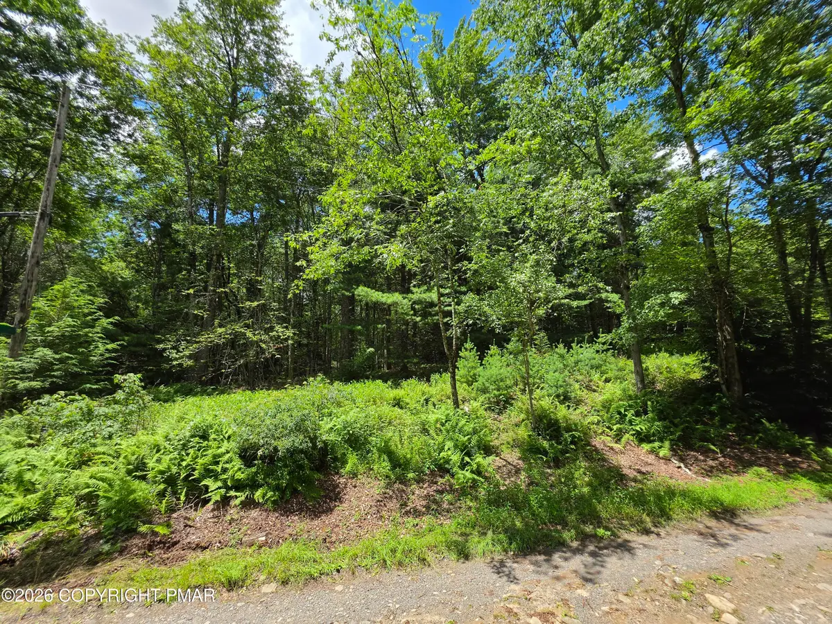 Lot 17-10 Zoe Road, Blakeslee, PA 18610 - #1