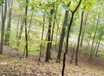Lot 11 Autumn Court, East Stroudsburg, PA 18302 - #3