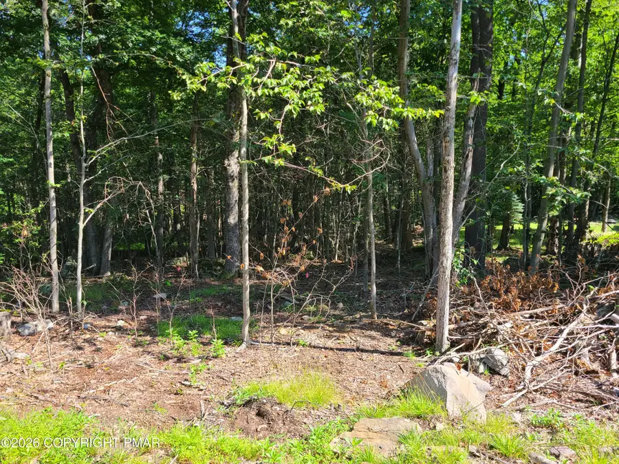Lot 87 Sunfish Court, Canadensis, PA 18325 - #3