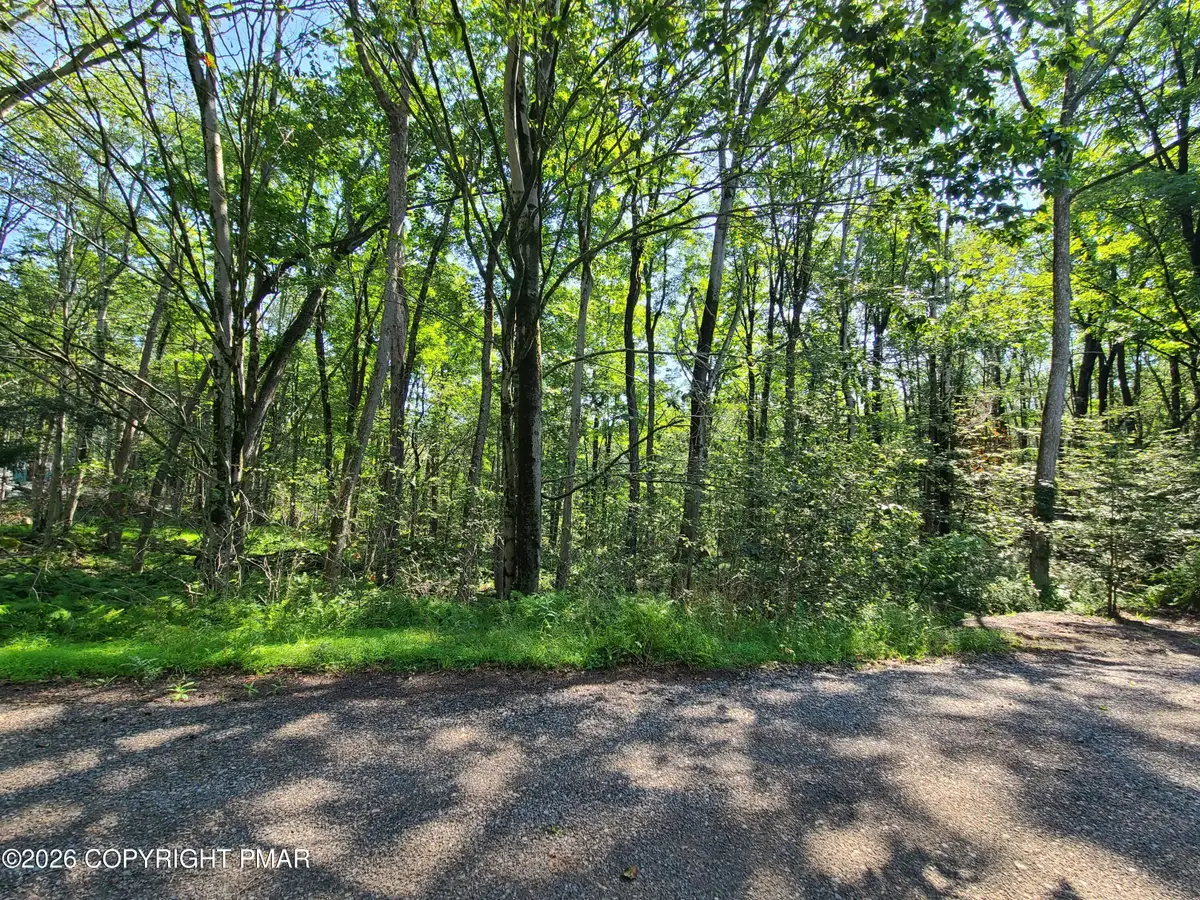 Lot 23R Lakewood Court, Canadensis, PA 18325 - #1