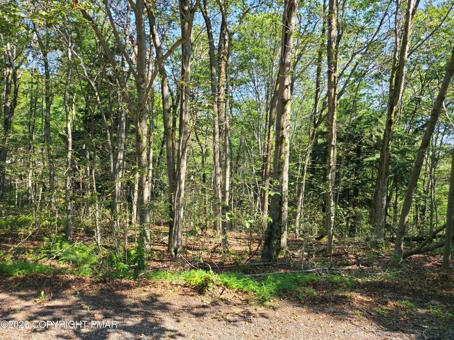 Lot 23R Lakewood Court, Canadensis, PA 18325 - #2