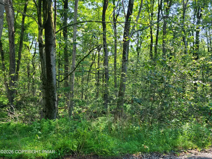 Lot 23R Lakewood Court, Canadensis, PA 18325 - #3