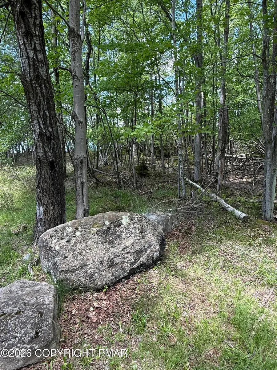 N Arrow Drive, Pocono Lake, PA 18347 - #2
