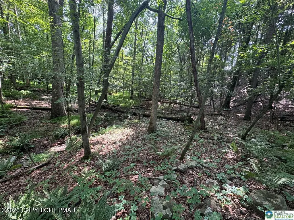 401 Par Dr 401 Drive, Kunkletown, PA 18058 - #1