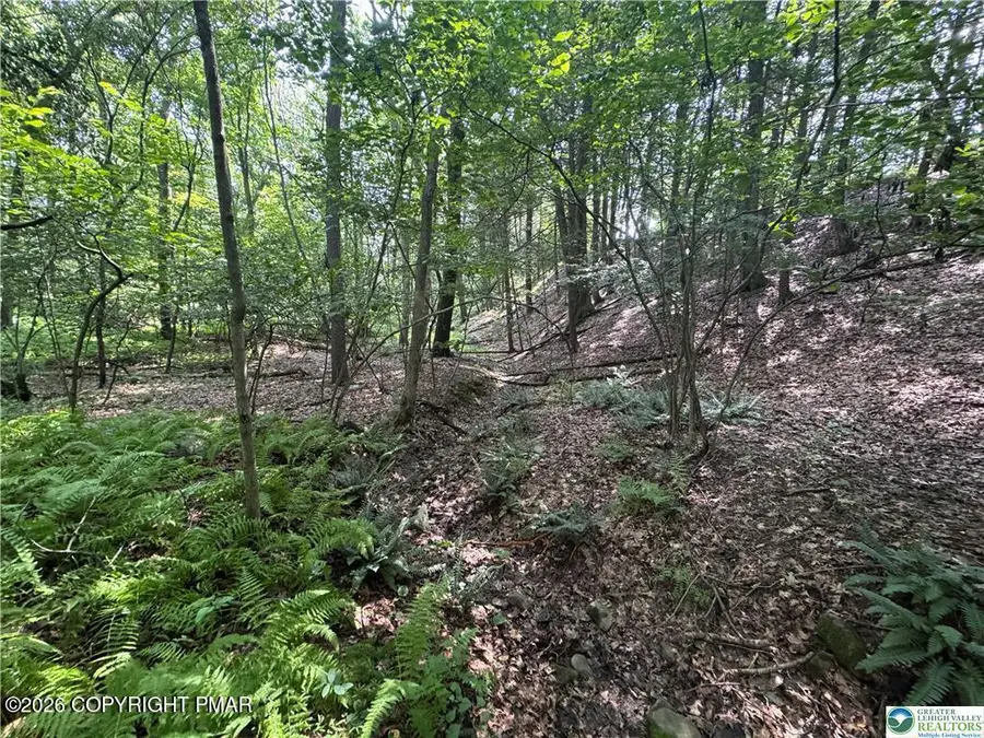 401 Par Dr 401 Drive, Kunkletown, PA 18058 - #2