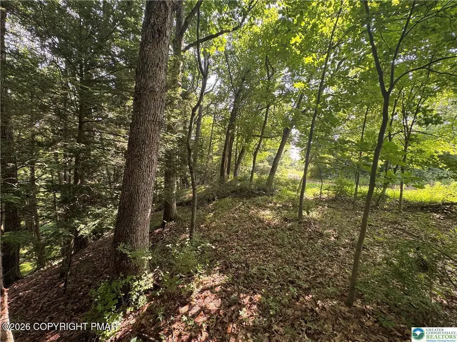 401 Par Dr 401 Drive, Kunkletown, PA 18058 - #3