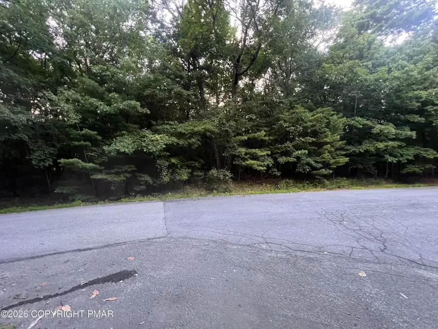 1 Arlene Dr Drive, Effort, PA 18330 - #3
