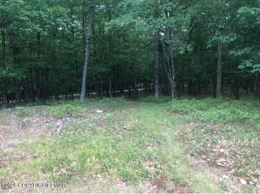 69 & 70 Panda Lane, East Stroudsburg, PA 18302 - #2