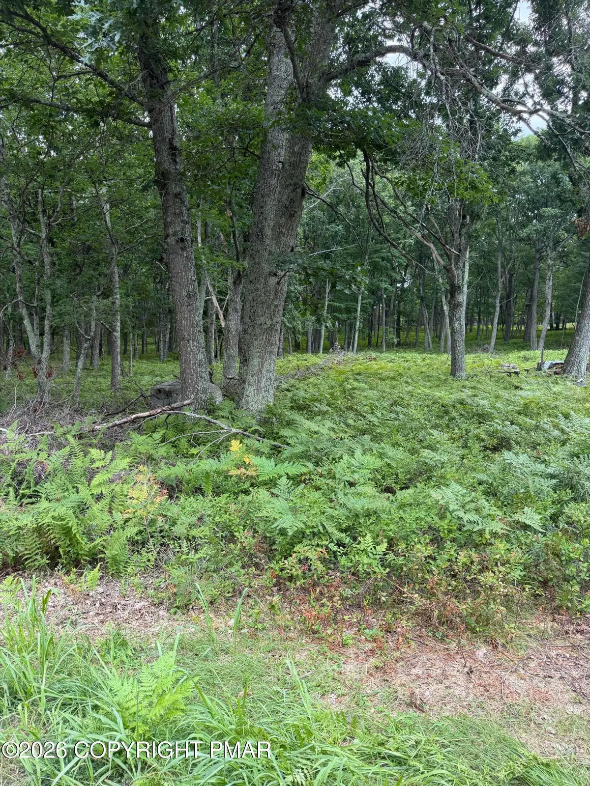 Lot 28 Snowshoe Court, Bushkill, PA 18324 - #1