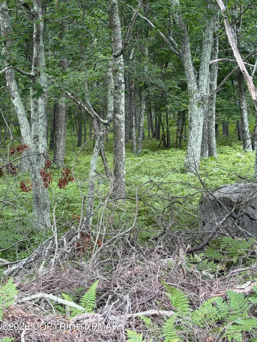 Lot 28 Snowshoe Court, Bushkill, PA 18324 - #2