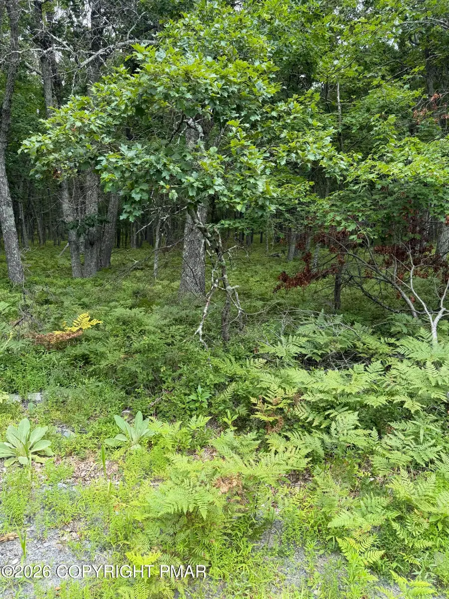 Lot 28 Snowshoe Court, Bushkill, PA 18324 - #3
