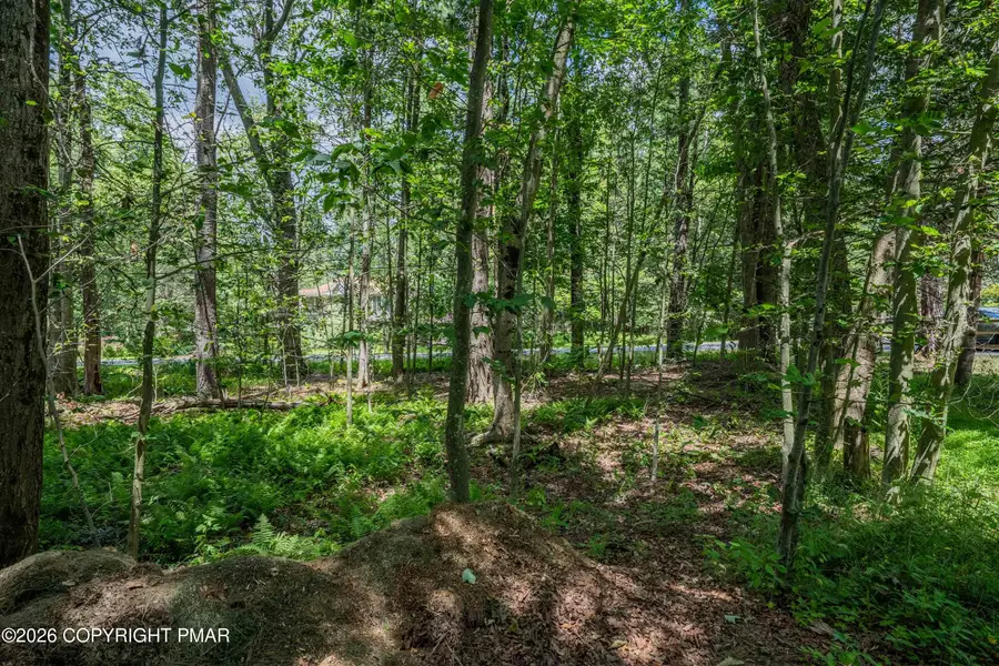 Beechwood Rd 5, Blakeslee, PA 18610 - #3