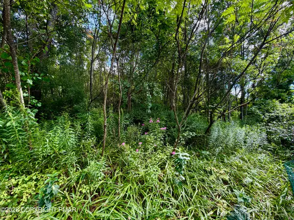 Stock Street, Nesquehoning, PA 18240
