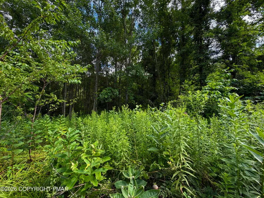 Stock Street, Nesquehoning, PA 18240 - #3