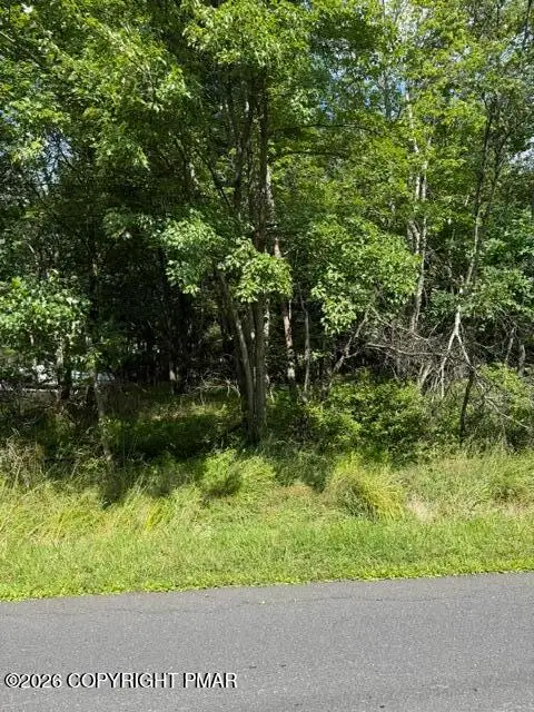 697 Clearview Drive, Long Pond, PA 18334 - #2