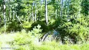Metzgar Road, East Stroudsburg, PA 18301 - #1