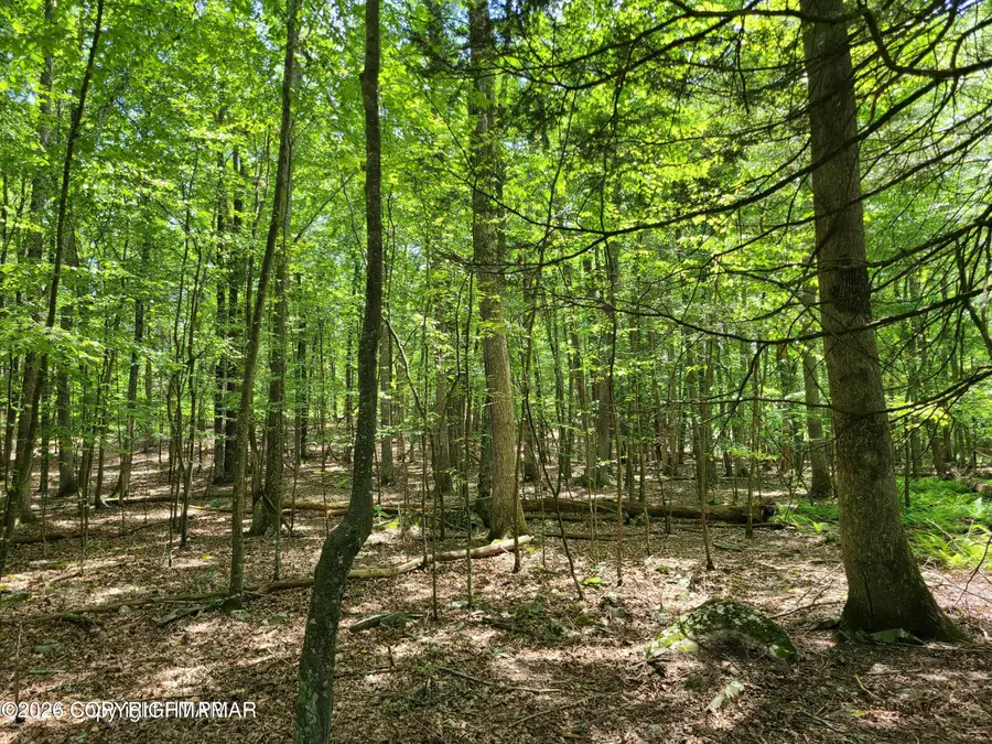Metzgar Road, East Stroudsburg, PA 18301 - #2