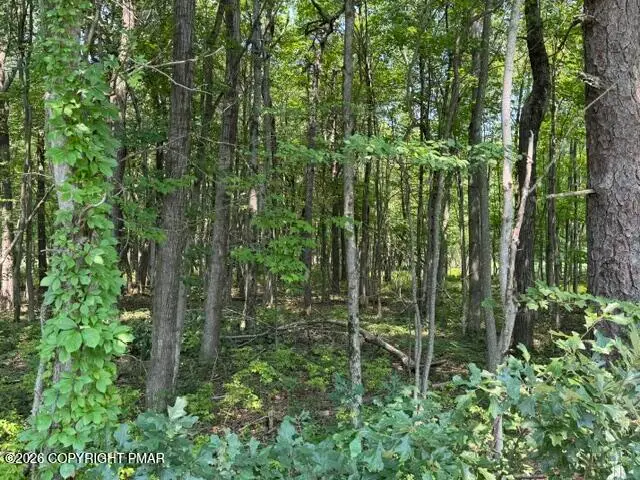 Panther Run Road & Robertson, Jim Thorpe, PA 18229 - #1