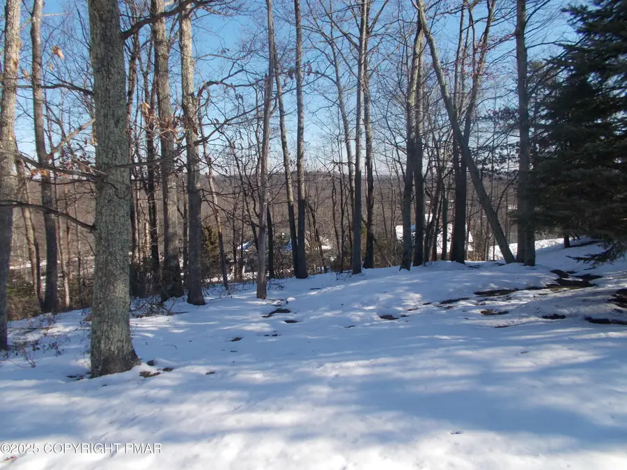 78 High Mountain Lane, Tannersville, PA 18372 - #2