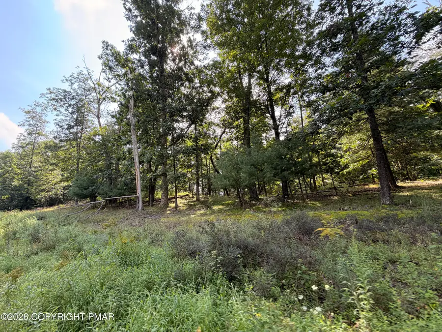 Upper Lakeview Dr Drive, East Stroudsburg, PA 18302 - #3