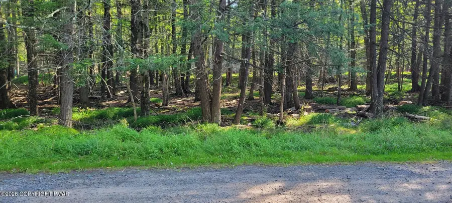 Netcong Cir 33 Circle, Pocono Lake, PA 18347 - #2
