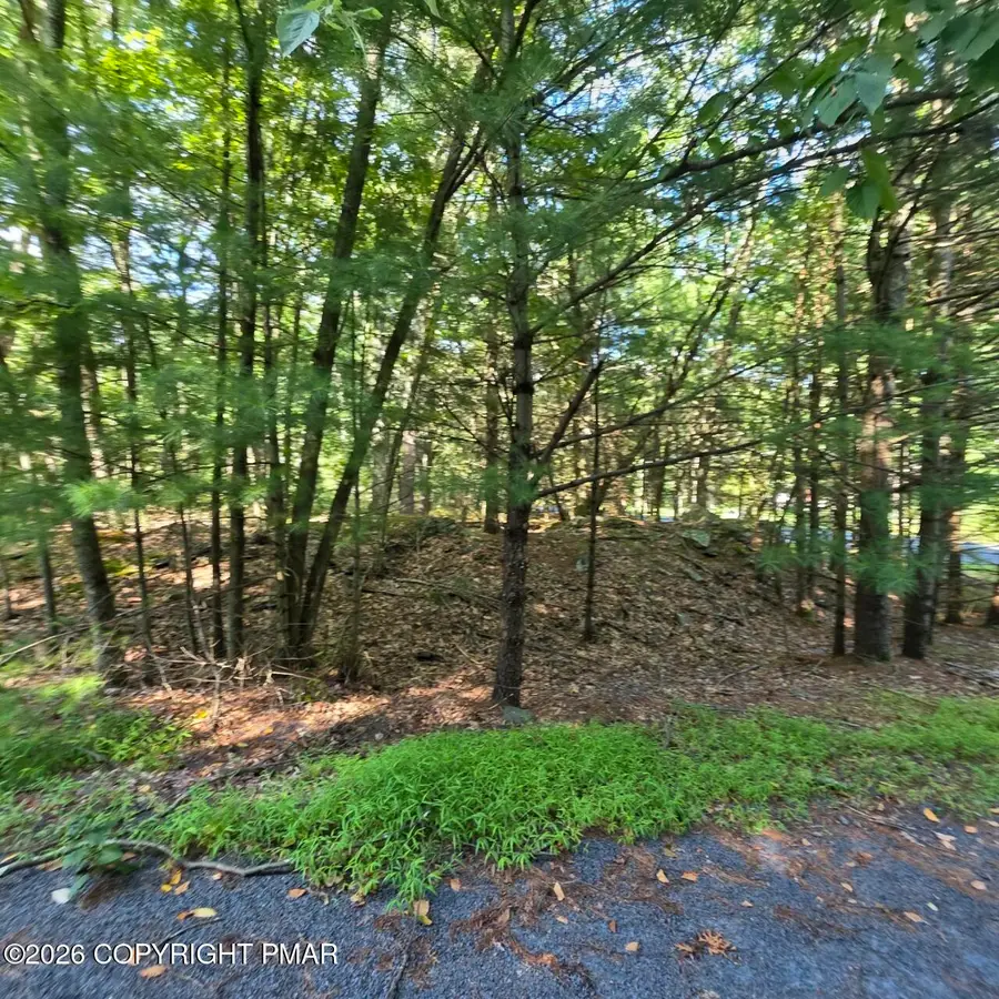 179 Mountain Top Drive, Dingmans Ferry, PA 18328 - #2