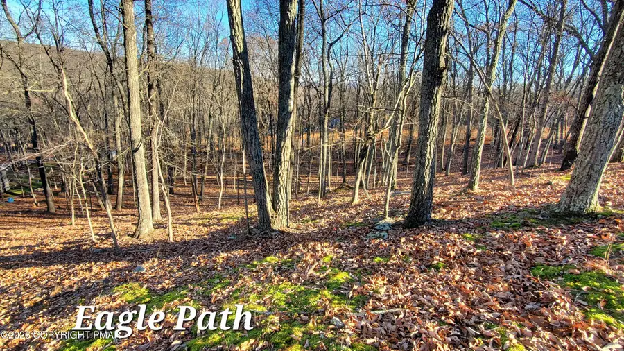 193 lot Eagle Path, Bushkill, PA 18324 - #2