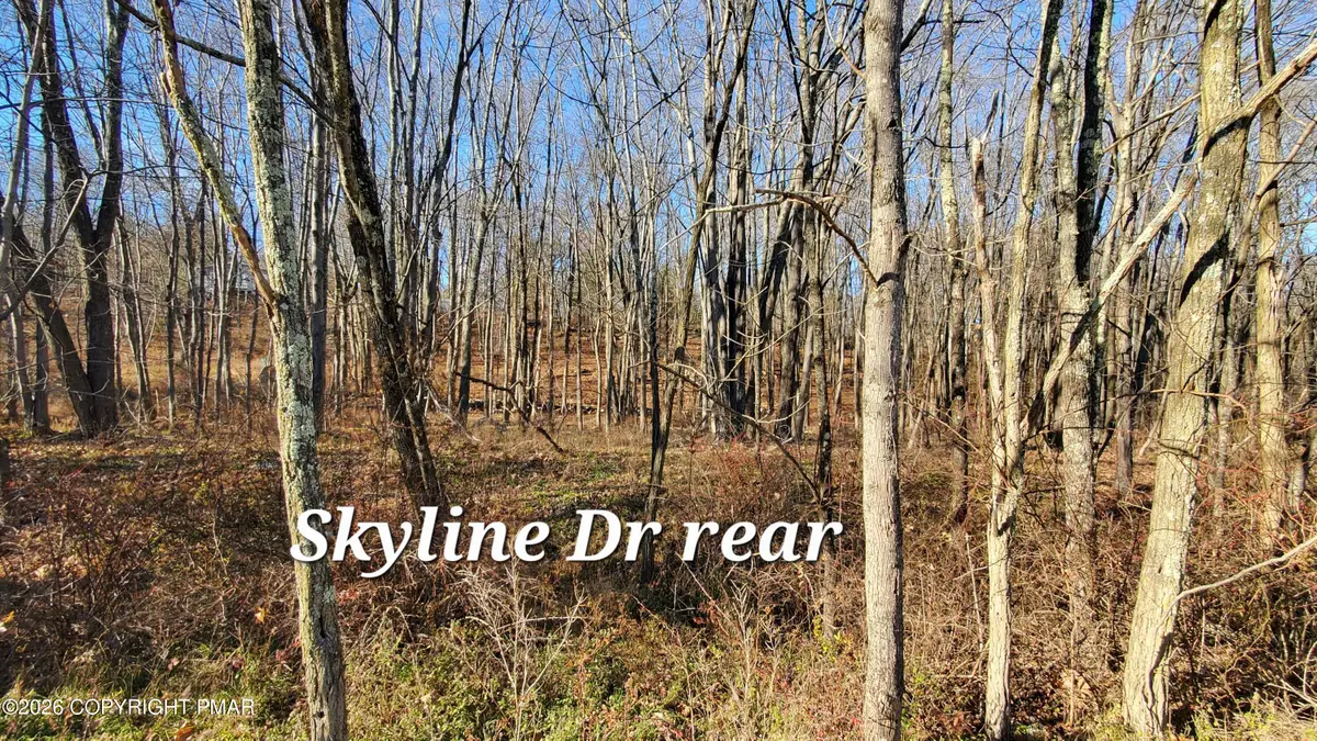 140A Skyline Drive, Bushkill, PA 18324 - #1