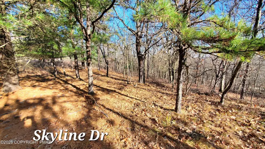 140A Skyline Drive, Bushkill, PA 18324 - #3