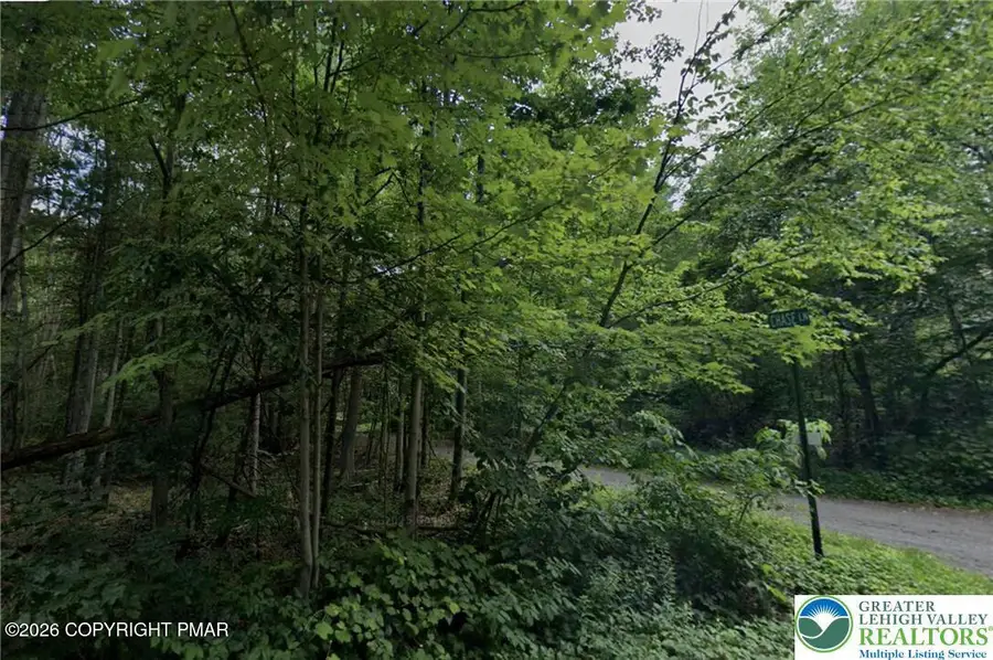 Oak Road, Drums, PA 18222 - #3