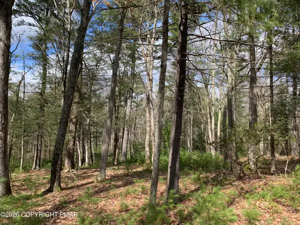 Tower Road, Dingmans Ferry, PA 18328