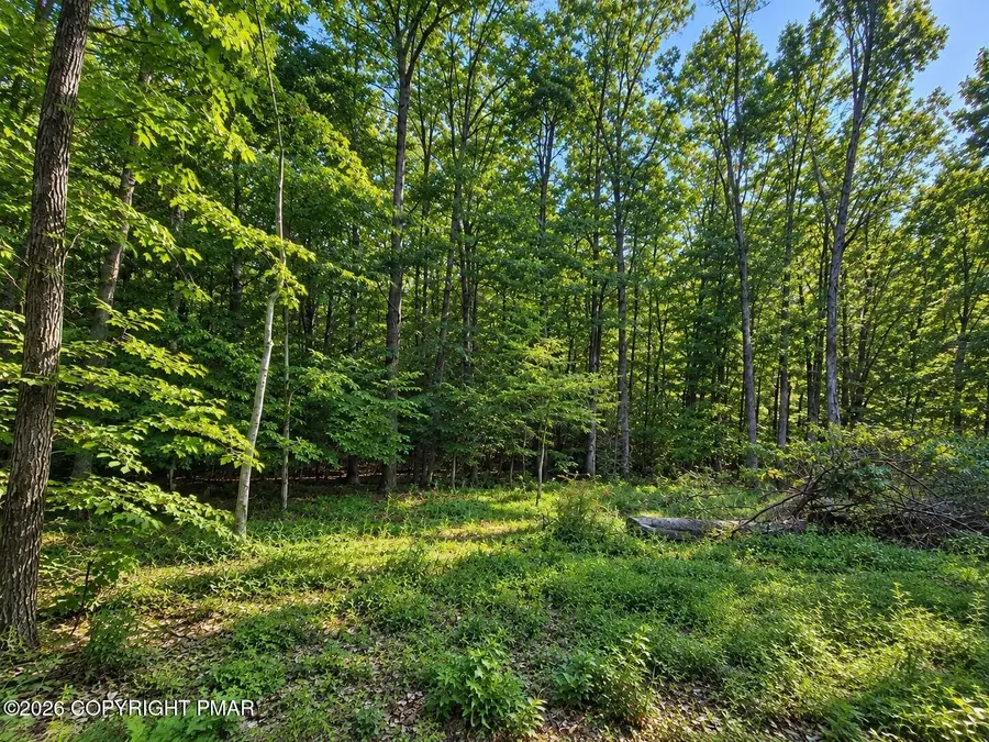 Cottontail Lane Lot#34, East Stroudsburg, PA 18302 - #2