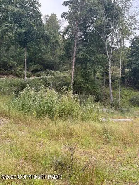 00 Ross Rd Road, Saylorsburg, PA 18353 - #3
