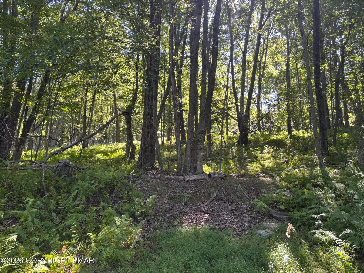 Ski Trail 32, Pocono Lake, PA 18347 - #1