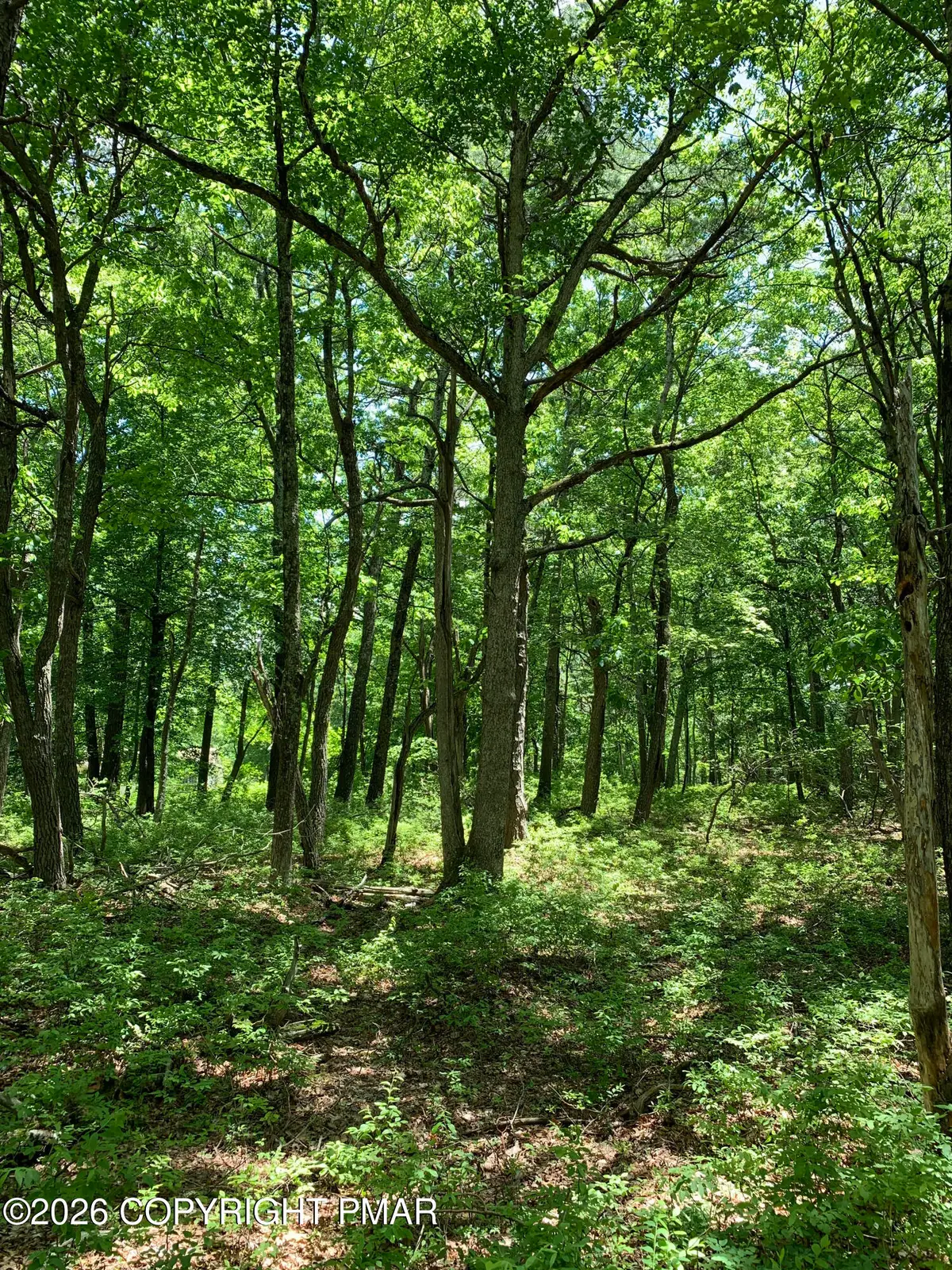 Squirrel Road, Dingmans Ferry, PA 18328 - #1