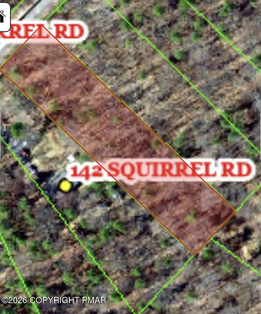 Squirrel Road, Dingmans Ferry, PA 18328 - #3
