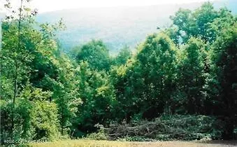 Pantherlick Road, Sugar Run, PA 18846
