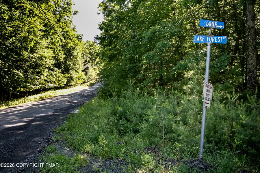 lot 723 Lake Forest Drive, Dingmans Ferry, PA 18328 - #3