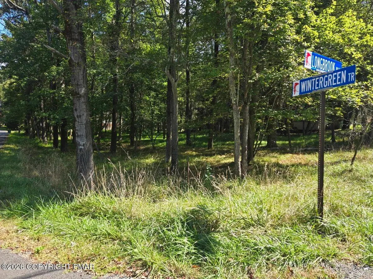 Wintergreen Trail & Longbrook, Albrightsville, PA 18210 - #1