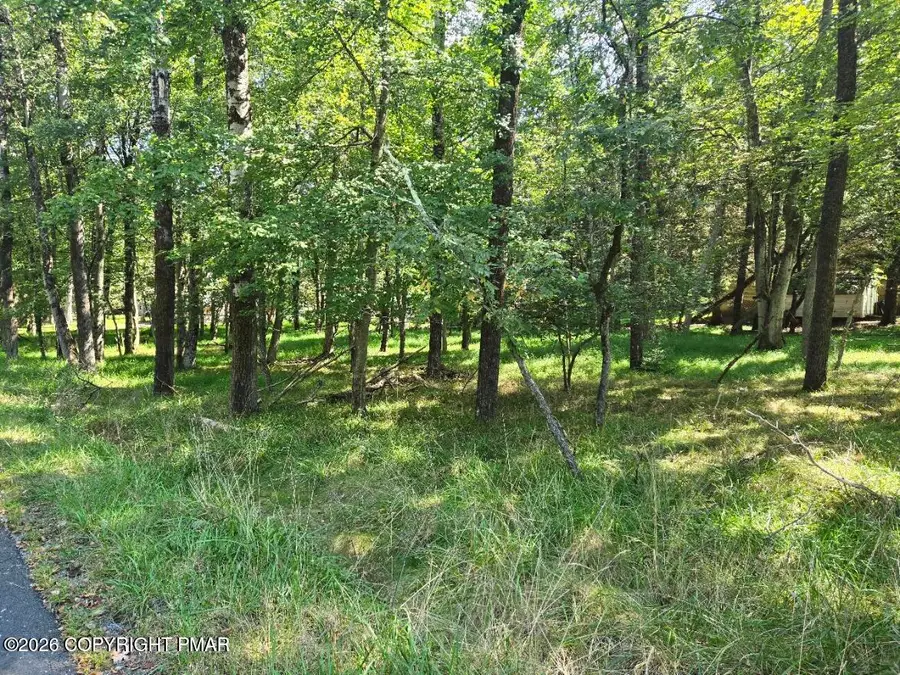 Wintergreen Trail & Longbrook, Albrightsville, PA 18210 - #2