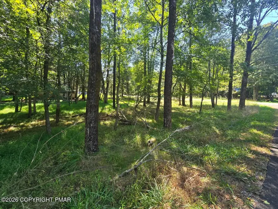 Wintergreen Trail & Longbrook, Albrightsville, PA 18210 - #3