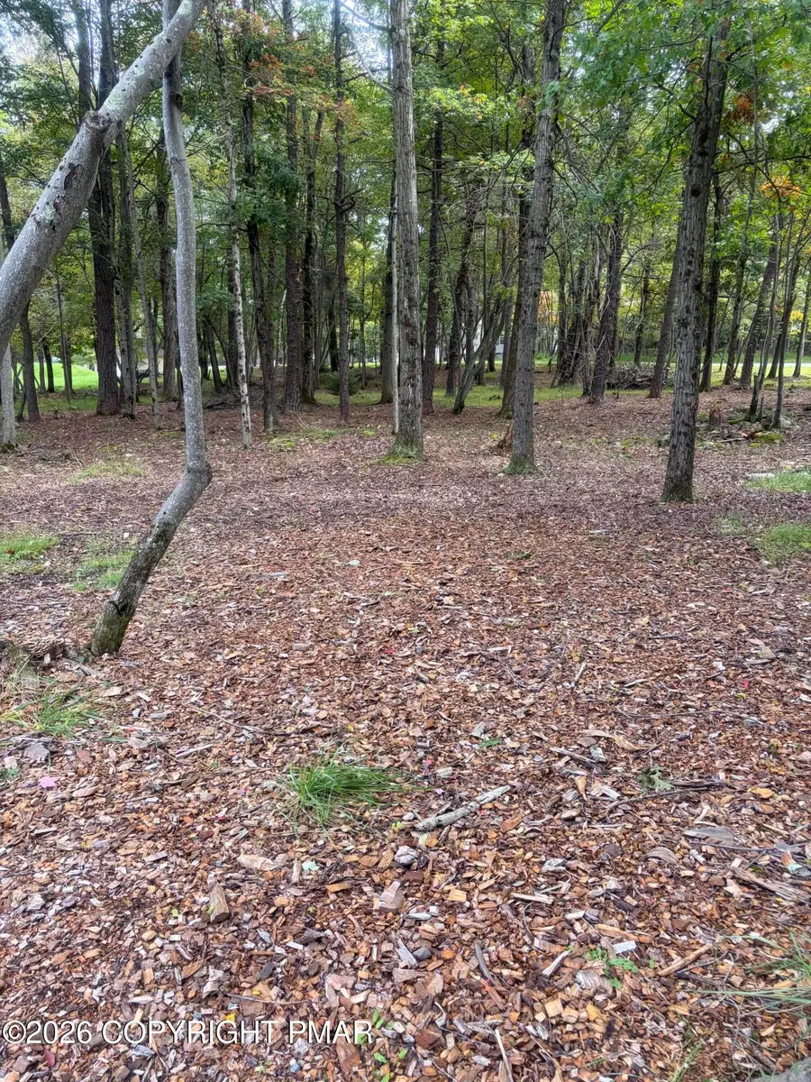 910/911 Willow Grove Rd Road, Pocono Summit, PA 18346 - #3